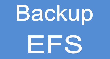 Come effettuare backup della cartella EFS Samsung